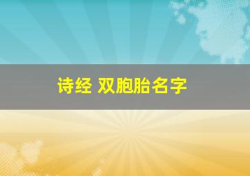 诗经 双胞胎名字